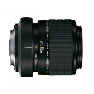 Canon Lens MP-E 65mm f2.8 1.5X Macro Photo